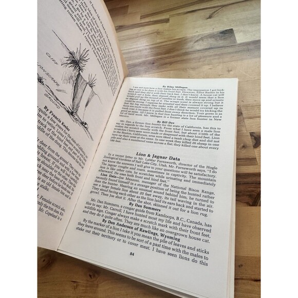 History Of American Lion Hunting By Wiley Carroll - Picture 4 of 5